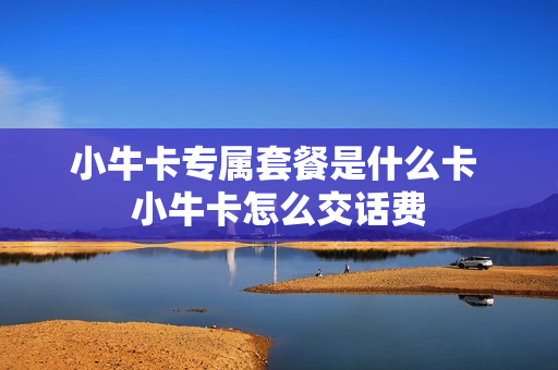 小牛卡专属套餐是什么卡 小牛卡怎么交话费