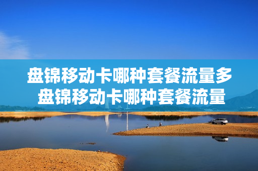 盘锦移动卡哪种套餐流量多 盘锦移动卡哪种套餐流量多一点