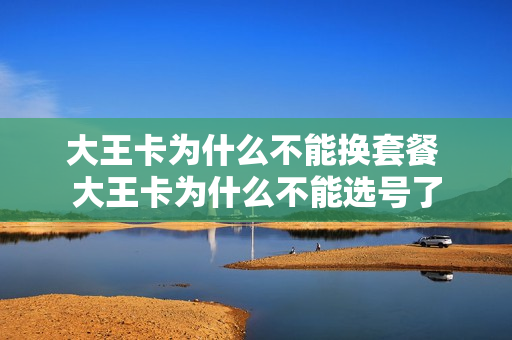 大王卡为什么不能换套餐 大王卡为什么不能选号了
