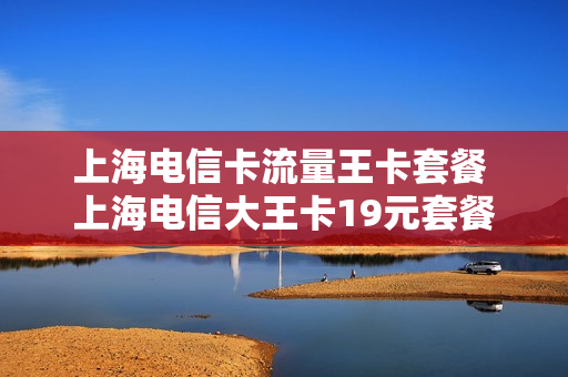 上海电信卡流量王卡套餐 上海电信大王卡19元套餐