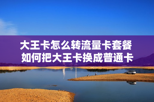 大王卡怎么转流量卡套餐 如何把大王卡换成普通卡
