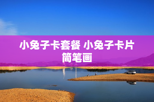 小兔子卡套餐 小兔子卡片简笔画