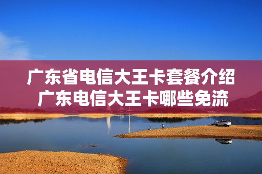 广东省电信大王卡套餐介绍 广东电信大王卡哪些免流量