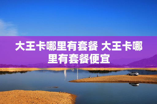 大王卡哪里有套餐 大王卡哪里有套餐便宜