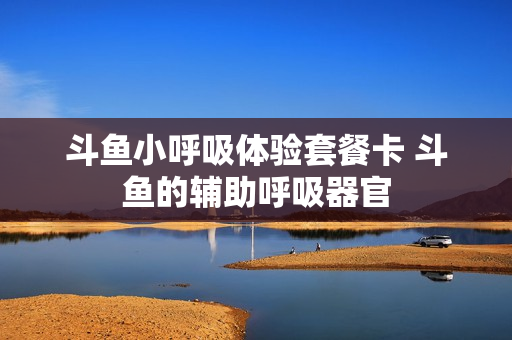 斗鱼小呼吸体验套餐卡 斗鱼的辅助呼吸器官