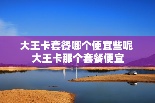 大王卡套餐哪个便宜些呢 大王卡那个套餐便宜
