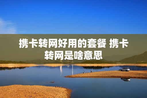 携卡转网好用的套餐 携卡转网是啥意思