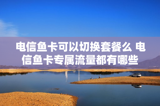 电信鱼卡可以切换套餐么 电信鱼卡专属流量都有哪些