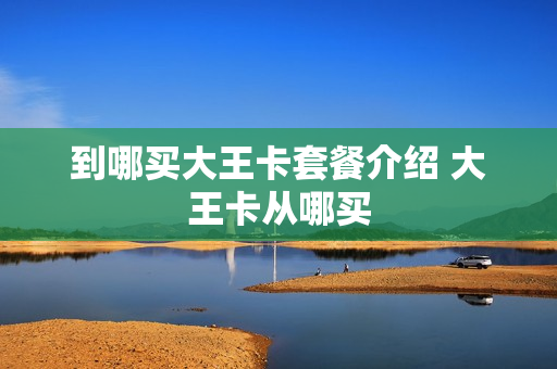 到哪买大王卡套餐介绍 大王卡从哪买