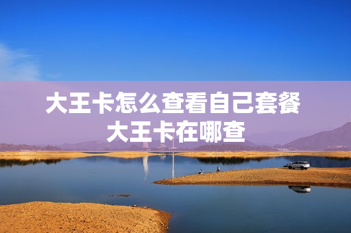 大王卡怎么查看自己套餐 大王卡在哪查
