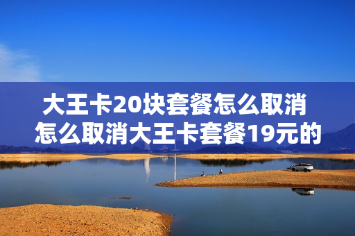 大王卡20块套餐怎么取消 怎么取消大王卡套餐19元的固定费用