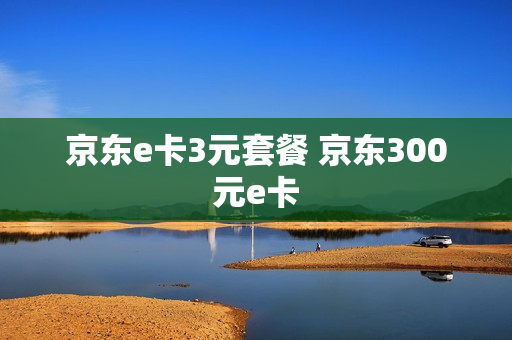 京东e卡3元套餐 京东300元e卡