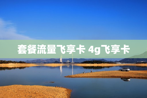 套餐流量飞享卡 4g飞享卡