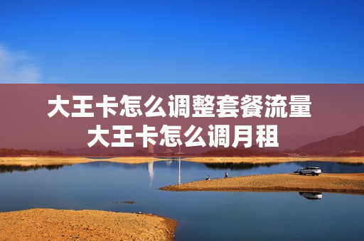 大王卡怎么调整套餐流量 大王卡怎么调月租