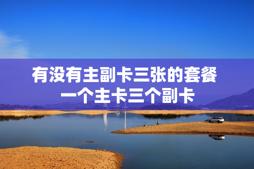 有没有主副卡三张的套餐 一个主卡三个副卡