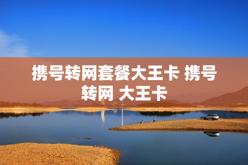 携号转网套餐大王卡 携号转网 大王卡