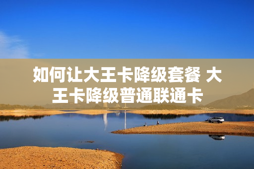 如何让大王卡降级套餐 大王卡降级普通联通卡