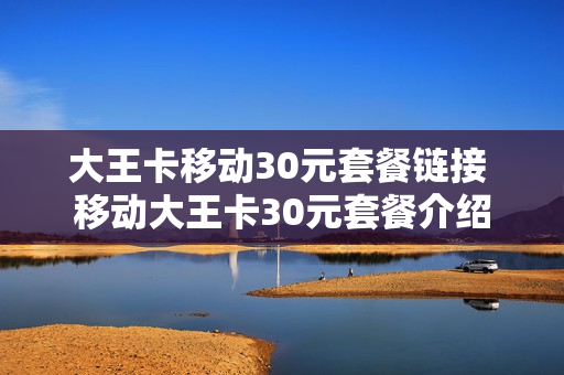 大王卡移动30元套餐链接 移动大王卡30元套餐介绍
