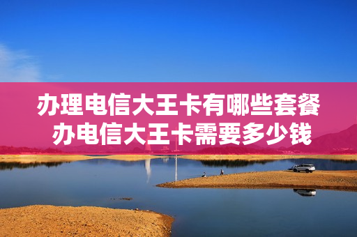 办理电信大王卡有哪些套餐 办电信大王卡需要多少钱