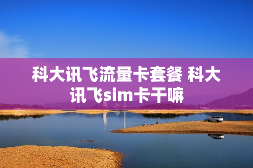 科大讯飞流量卡套餐 科大讯飞sim卡干嘛