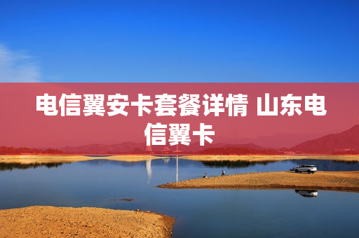 电信翼安卡套餐详情 山东电信翼卡