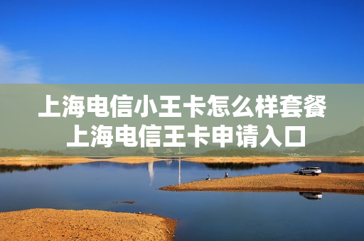 上海电信小王卡怎么样套餐 上海电信王卡申请入口