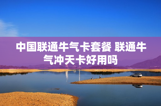 中国联通牛气卡套餐 联通牛气冲天卡好用吗