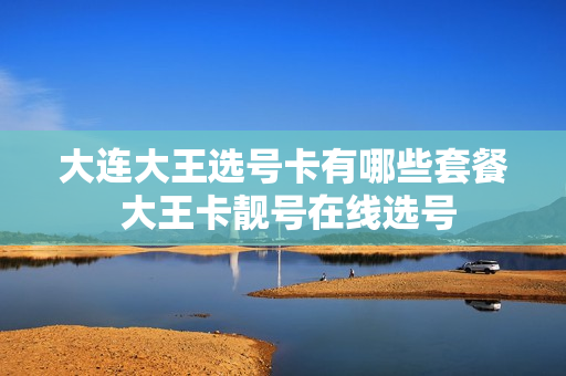 大连大王选号卡有哪些套餐 大王卡靓号在线选号