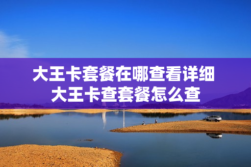 大王卡套餐在哪查看详细 大王卡查套餐怎么查