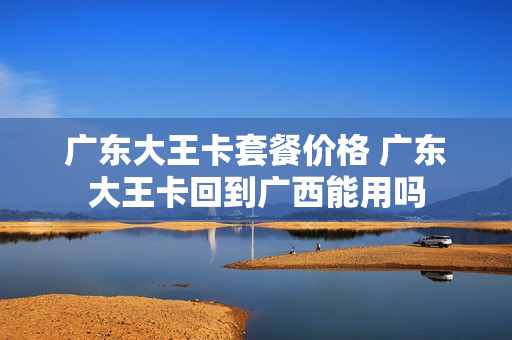 广东大王卡套餐价格 广东大王卡回到广西能用吗
