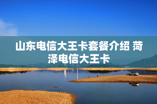 山东电信大王卡套餐介绍 菏泽电信大王卡