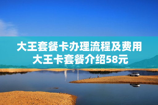 大王套餐卡办理流程及费用 大王卡套餐介绍58元