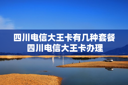 四川电信大王卡有几种套餐 四川电信大王卡办理