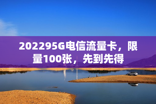 202295G电信流量卡，限量100张，先到先得