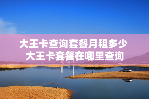 大王卡查询套餐月租多少 大王卡套餐在哪里查询