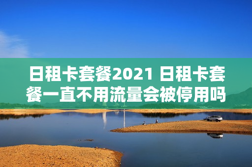 日租卡套餐2021 日租卡套餐一直不用流量会被停用吗