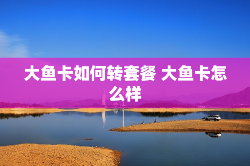 大鱼卡如何转套餐 大鱼卡怎么样
