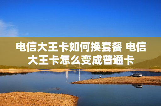 电信大王卡如何换套餐 电信大王卡怎么变成普通卡