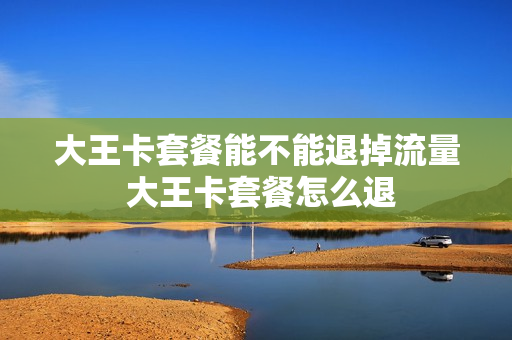 大王卡套餐能不能退掉流量 大王卡套餐怎么退