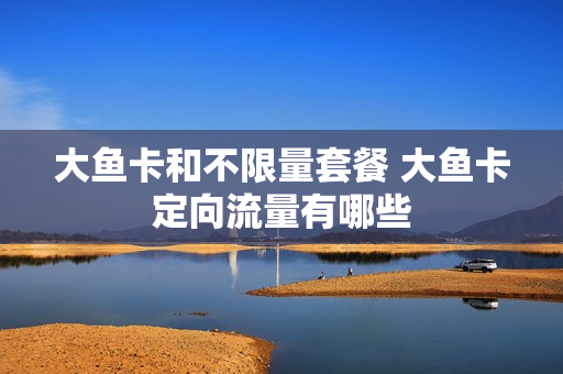大鱼卡和不限量套餐 大鱼卡定向流量有哪些