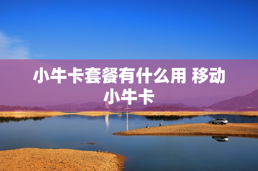 小牛卡套餐有什么用 移动小牛卡