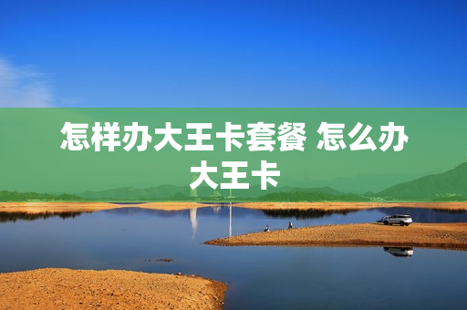 怎样办大王卡套餐 怎么办大王卡