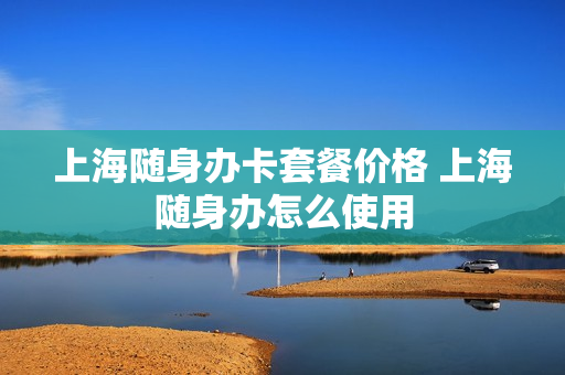 上海随身办卡套餐价格 上海随身办怎么使用