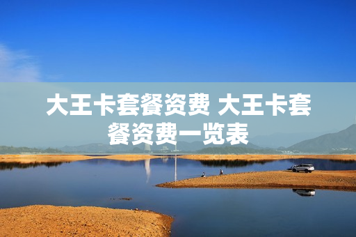 大王卡套餐资费 大王卡套餐资费一览表
