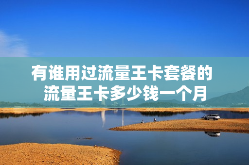 有谁用过流量王卡套餐的 流量王卡多少钱一个月