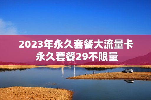 2023年永久套餐大流量卡 永久套餐29不限量