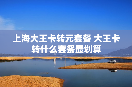 上海大王卡转元套餐 大王卡转什么套餐最划算