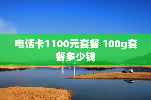 电话卡1100元套餐 100g套餐多少钱