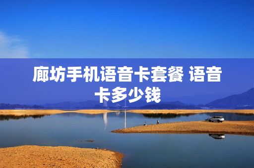 廊坊手机语音卡套餐 语音卡多少钱