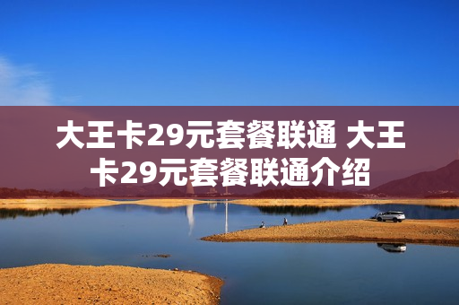 大王卡29元套餐联通 大王卡29元套餐联通介绍
